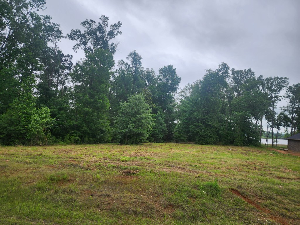 321 Old Tejas Trail West Property Photo 4