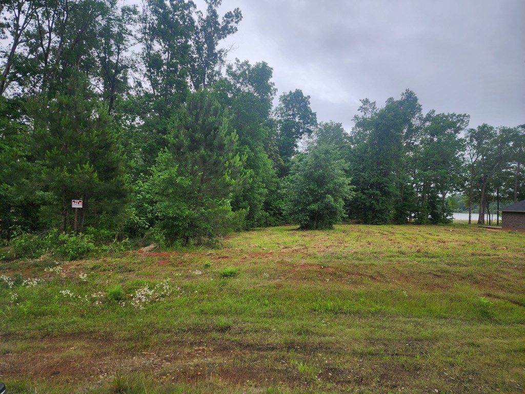 321 Old Tejas Trail West Property Photo 6
