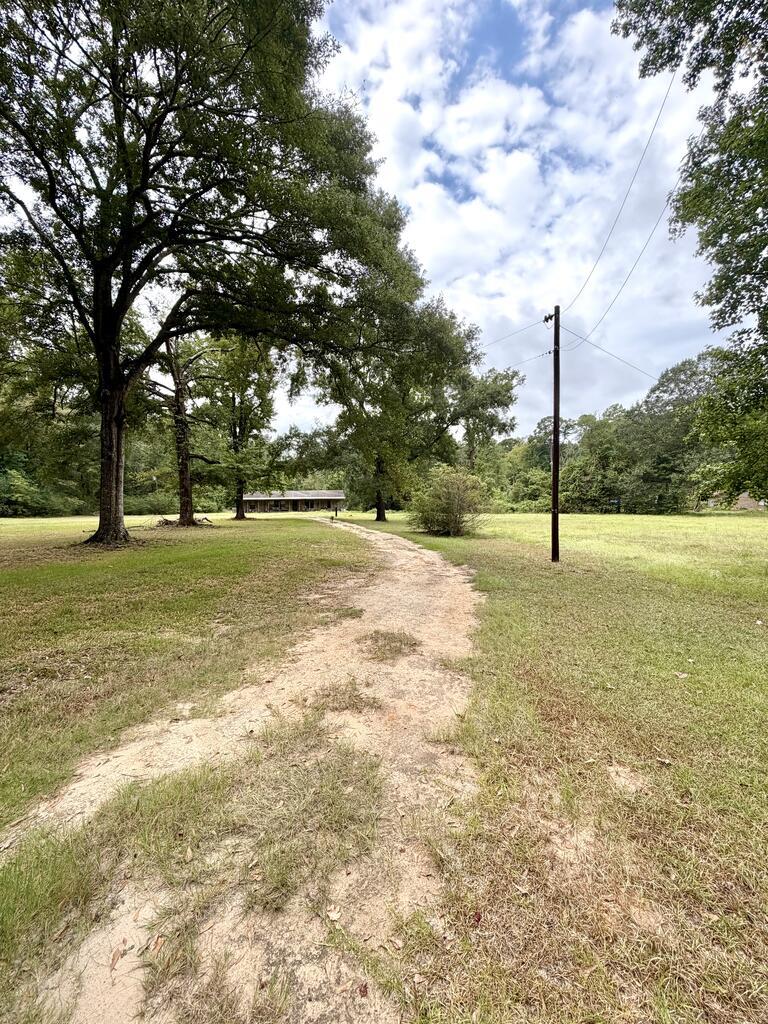 311 County Road 298 Property Photo 1