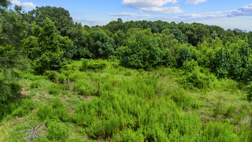 2601 Fm 2799 Property Photo 16