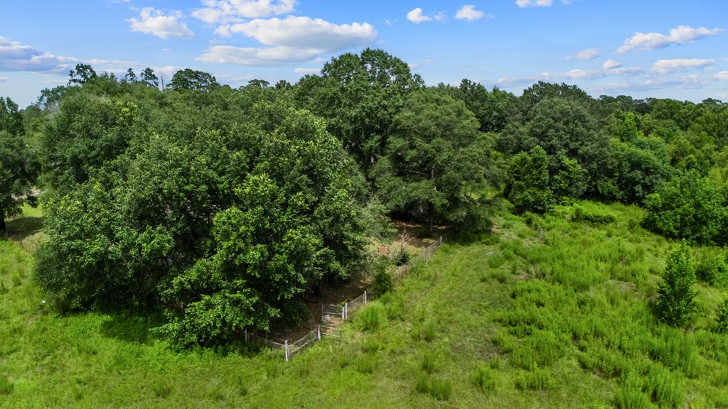 2601 Fm 2799 Property Photo 18