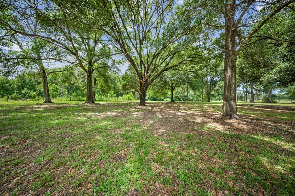 2601 Fm 2799 Property Photo 24