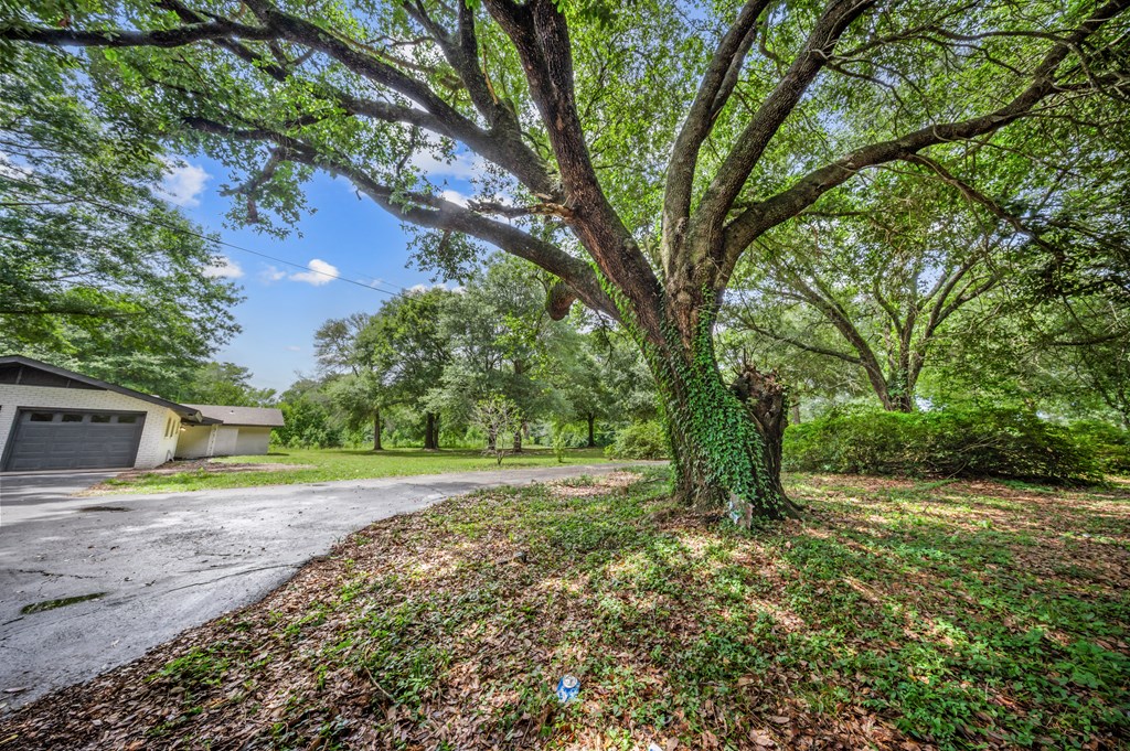 2601 Fm 2799 Property Photo 25