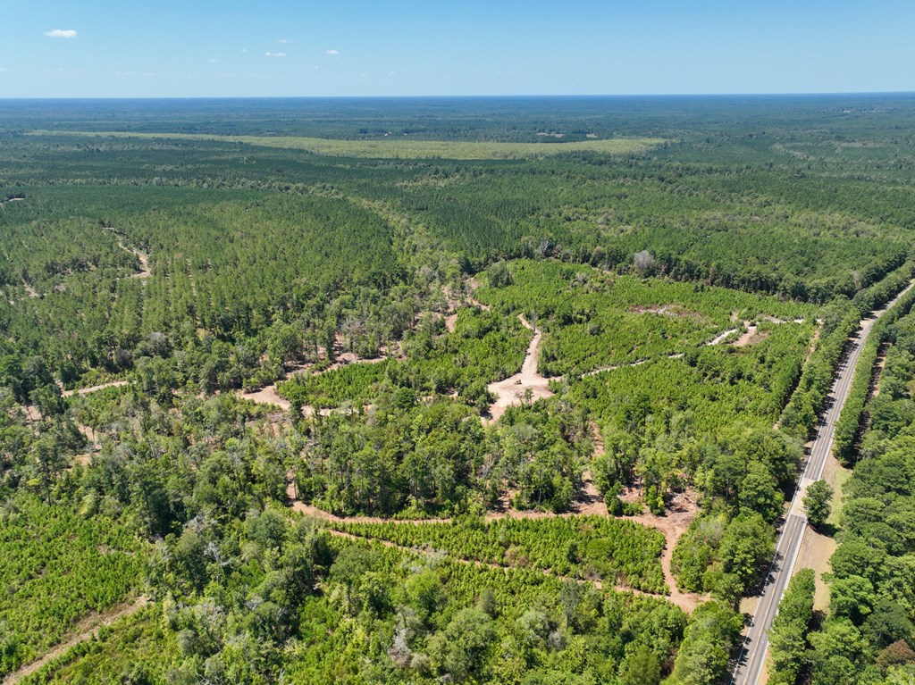 18477 Fm 1013 Property Photo 8