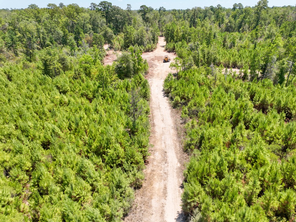 18477 Fm 1013 Property Photo 10