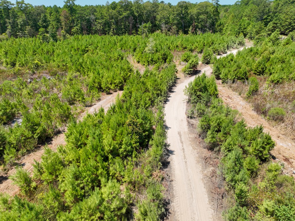 18477 Fm 1013 Property Photo 11
