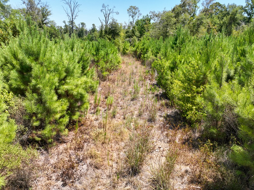18477 Fm 1013 Property Photo 12