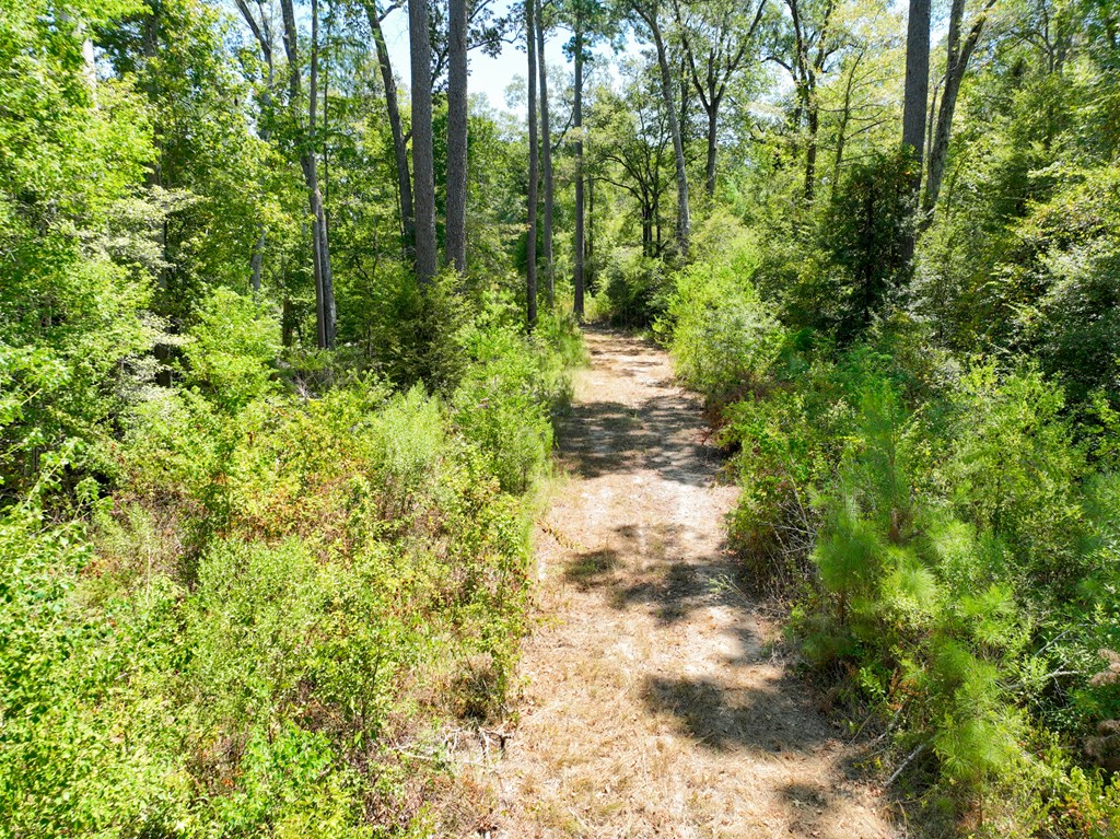 18477 Fm 1013 Property Photo 13