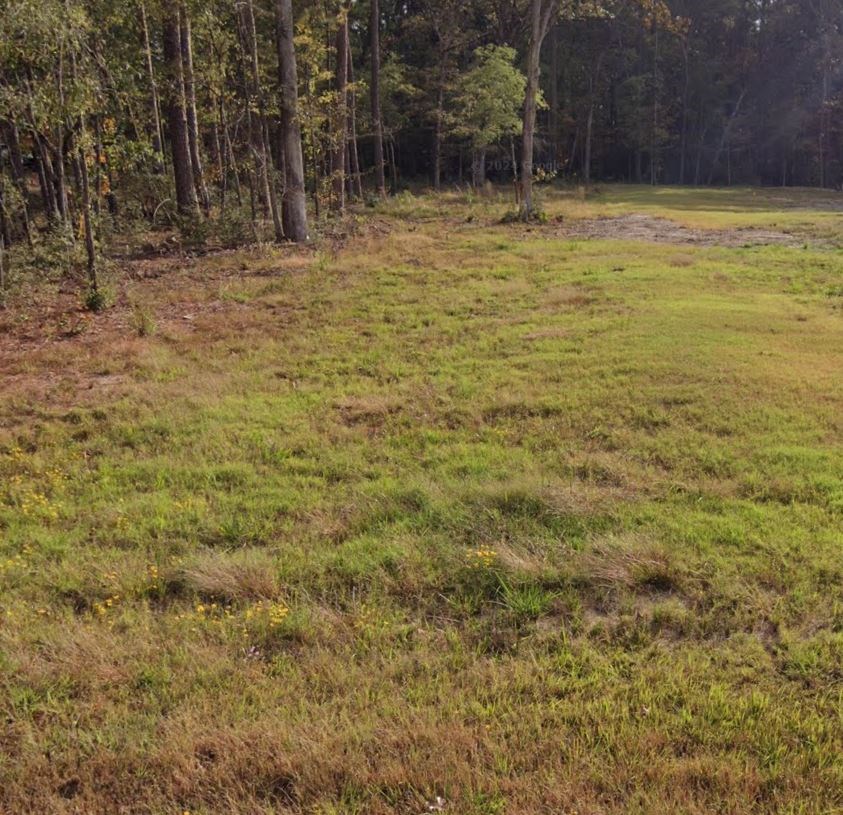 293 School Craft Road Property Photo 2