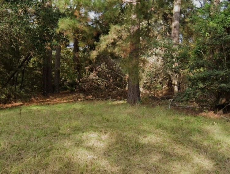 293 School Craft Road Property Photo 3