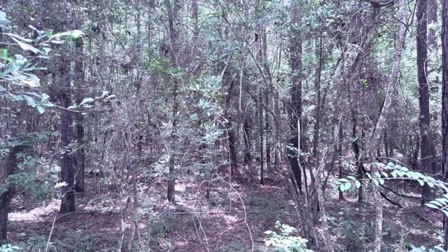 Pid#15855 County Road 2775 Property Photo 1