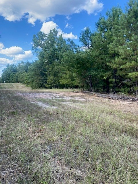 77998 Post Oak Road Property Photo 2