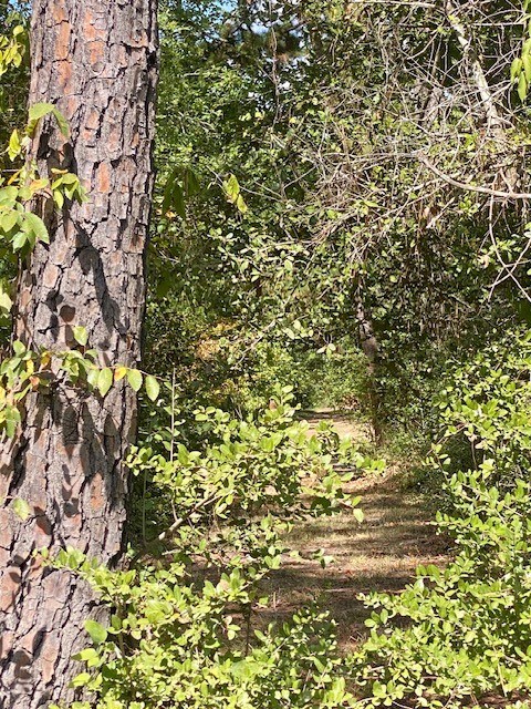 77998 Post Oak Road Property Photo 5
