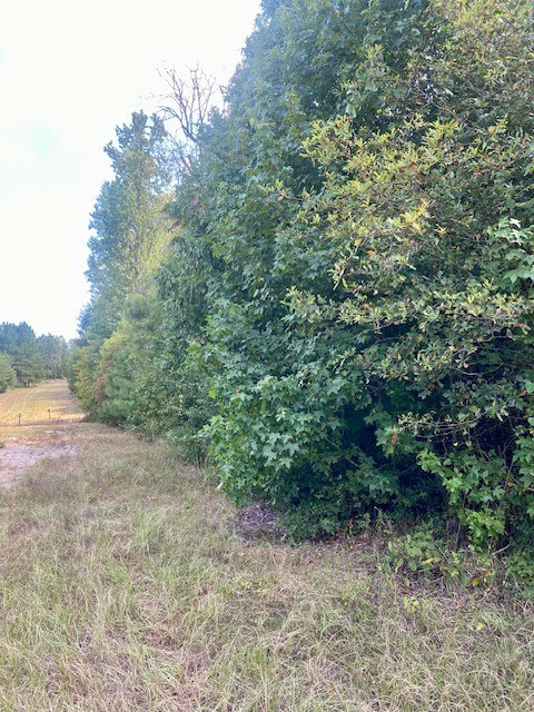 77995 Post Oak Road Property Photo 3