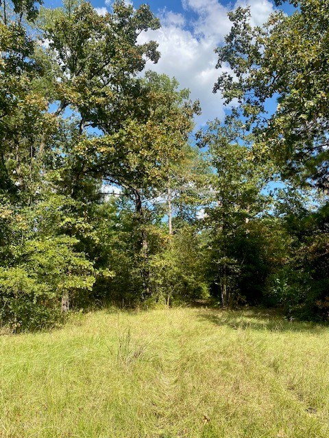 77995 Post Oak Road Property Photo 4