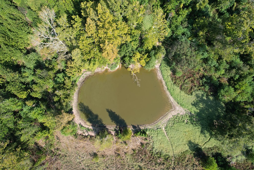 879 Cr 3390w Property Photo 8