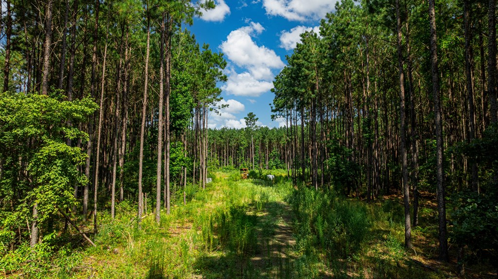 1150 Fm 1751 Property Photo 4
