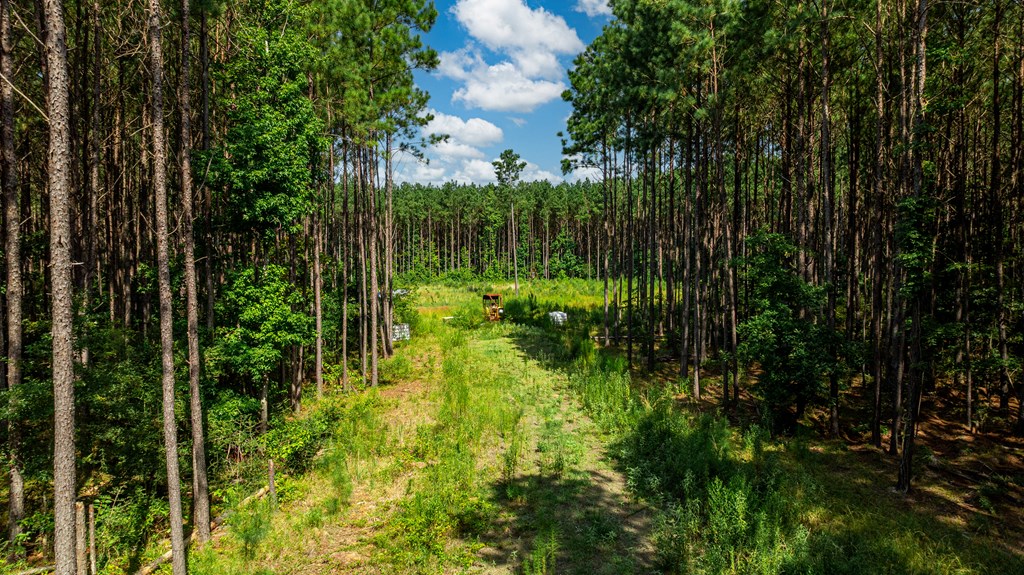 1150 Fm 1751 Property Photo 5