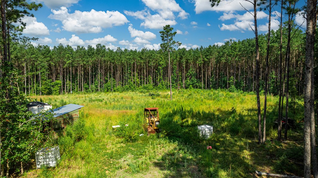 1150 Fm 1751 Property Photo 6
