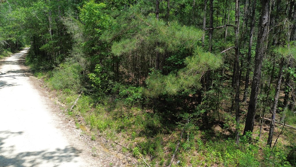 Parcel#41620 Cr 4720 Property Photo 13