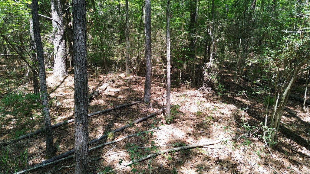 Parcel#41620 Cr 4720 Property Photo 20