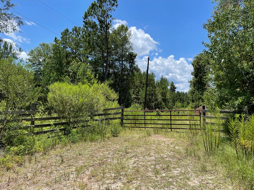 296 County Road 149