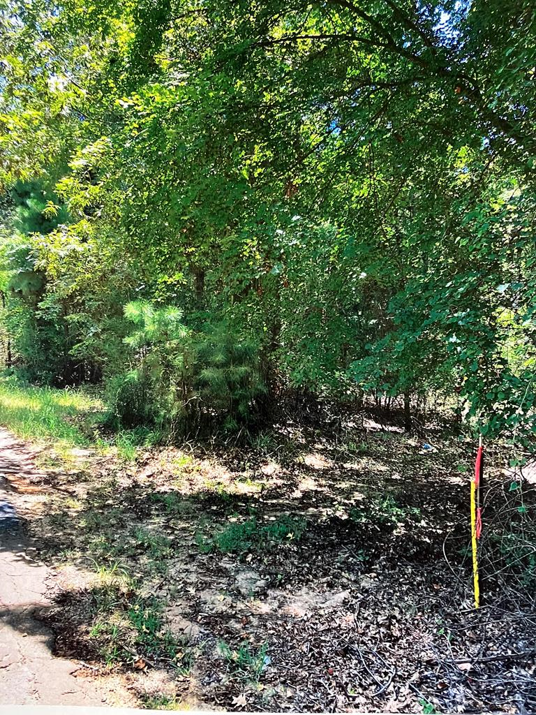 Pid 1000016780 Cr 751 Property Photo 1