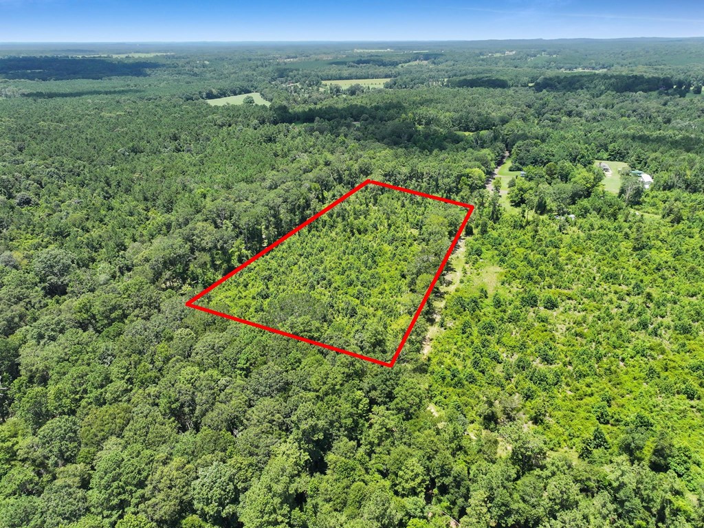377 County Road 141 Property Photo 2