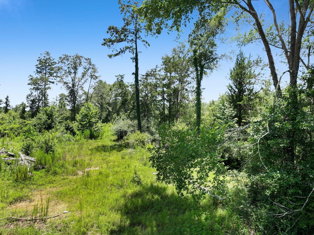 377 County Road 141 Property Photo 6