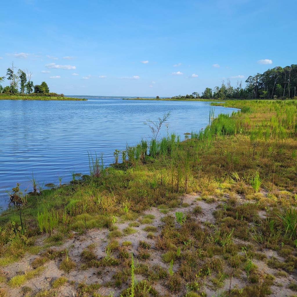 Pid#28125 Lot79 Pr 8558 Property Photo 1