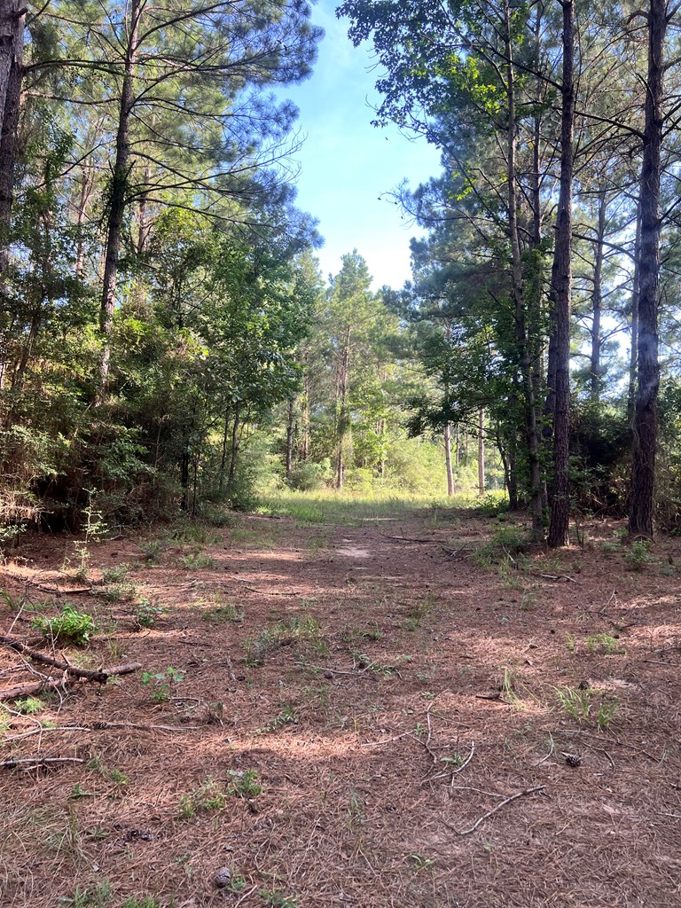 Pid#28125 Lot79 Pr 8558 Property Photo 3