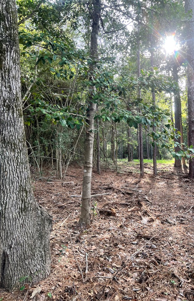 Pid#28125 Lot79 Pr 8558 Property Photo 5