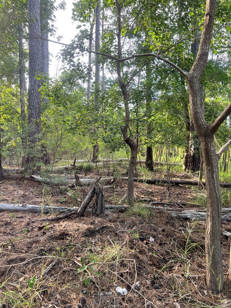 Pid#28125 Lot79 Pr 8558 Property Photo 6