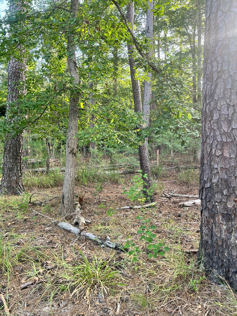 Pid#28125 Lot79 Pr 8558 Property Photo 7
