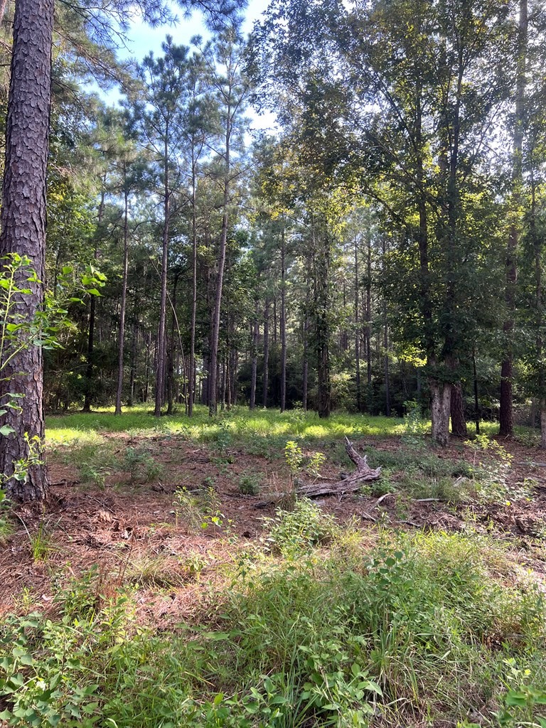 Pid#28125 Lot79 Pr 8558 Property Photo 8