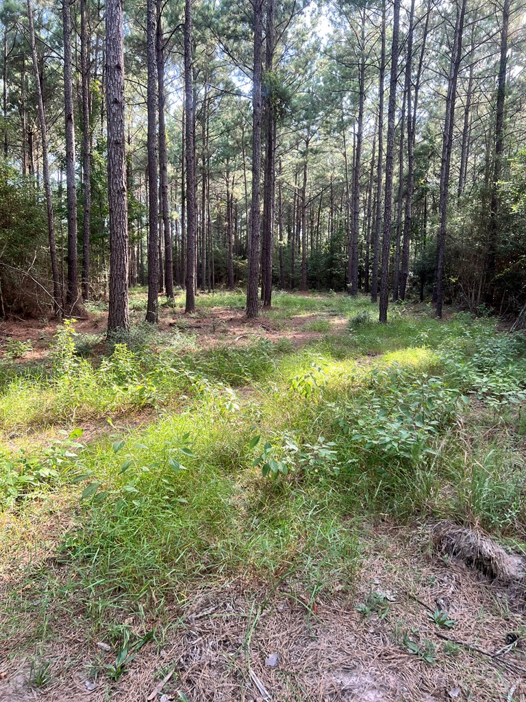 Pid#28125 Lot79 Pr 8558 Property Photo 9