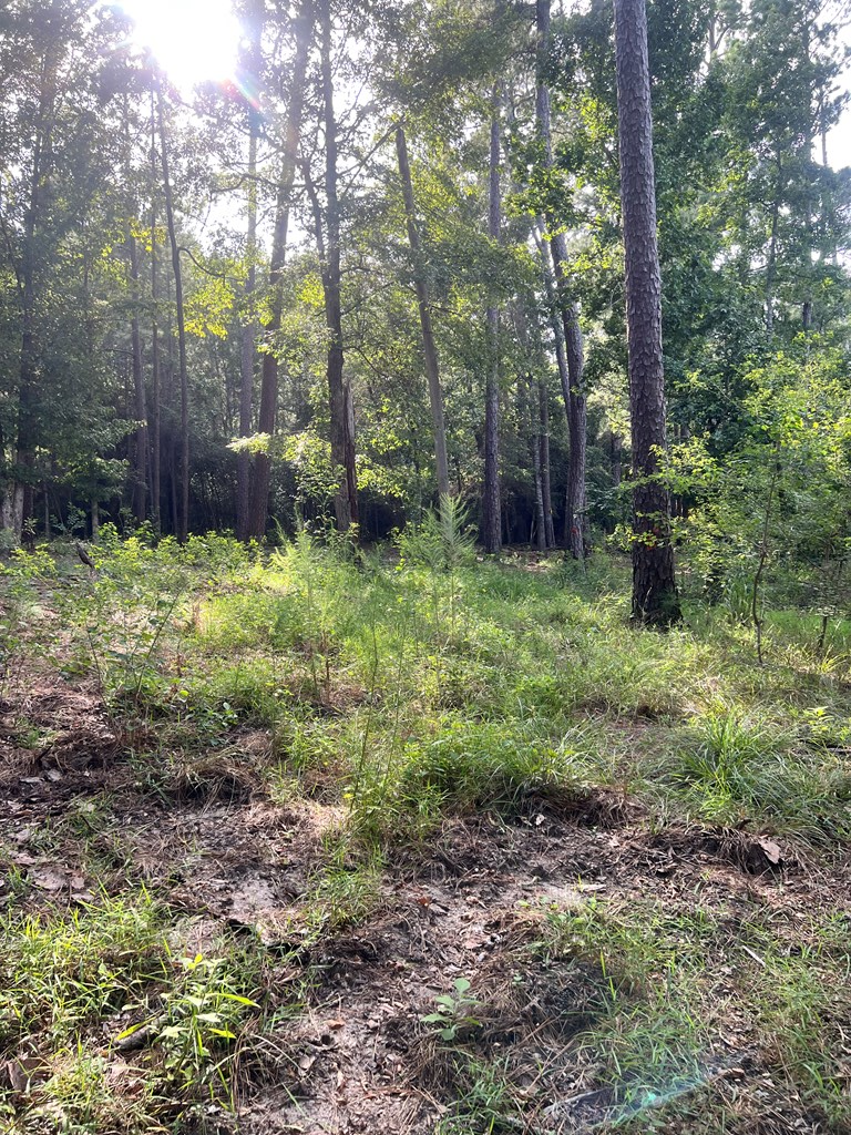 Pid#28125 Lot79 Pr 8558 Property Photo 10