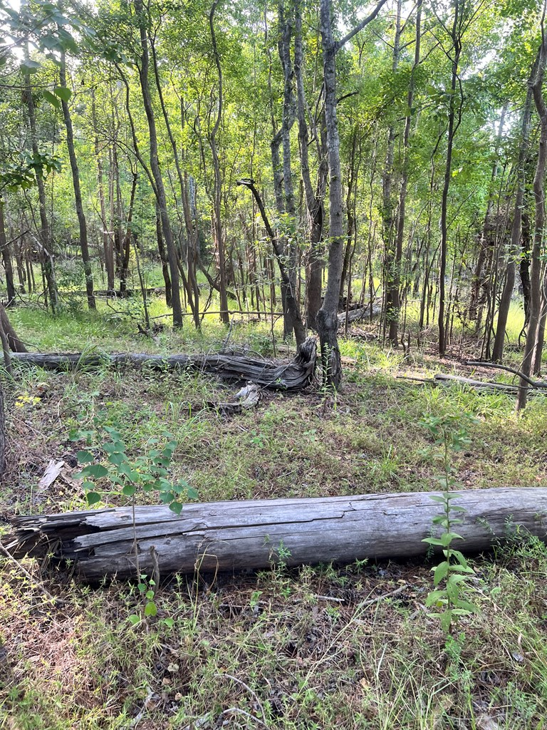 Pid#28125 Lot79 Pr 8558 Property Photo 11