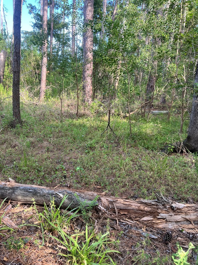 Pid#28125 Lot79 Pr 8558 Property Photo 12