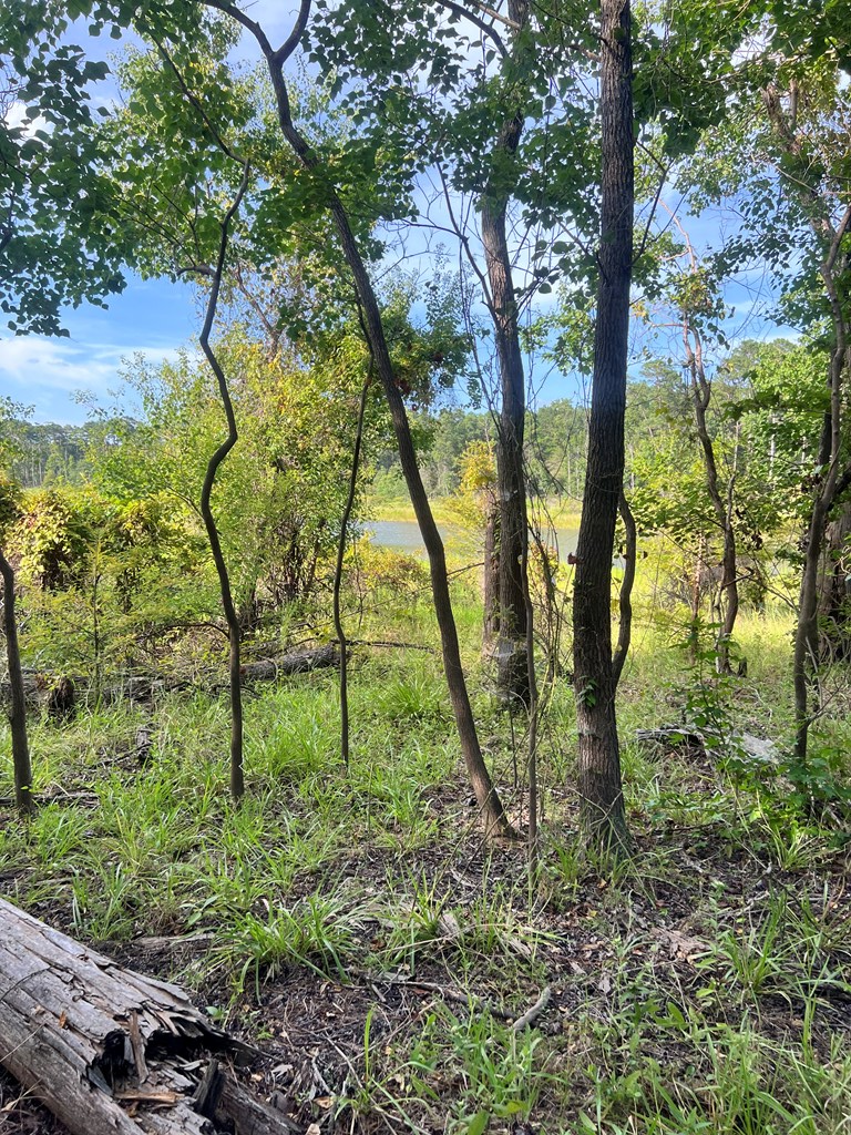 Pid#28125 Lot79 Pr 8558 Property Photo 13