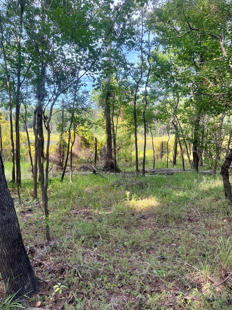 Pid#28125 Lot79 Pr 8558 Property Photo 14