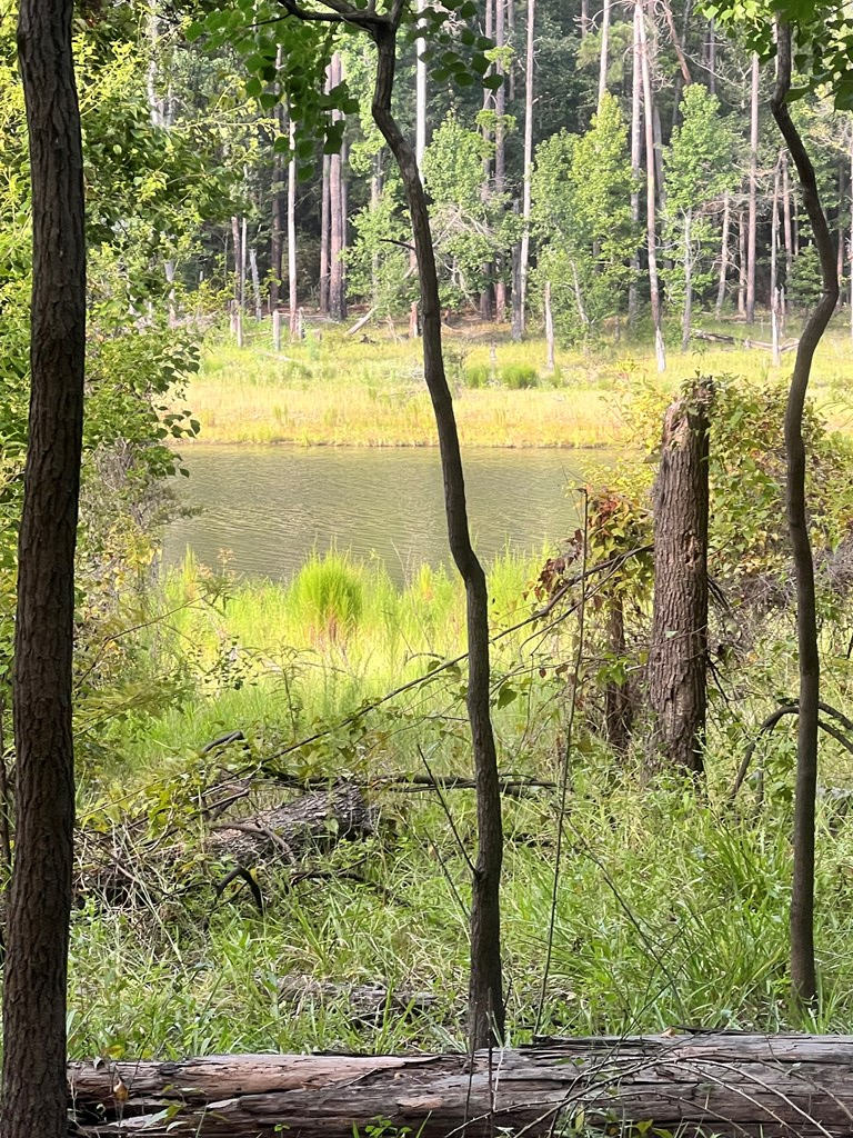 Pid#28125 Lot79 Pr 8558 Property Photo 16