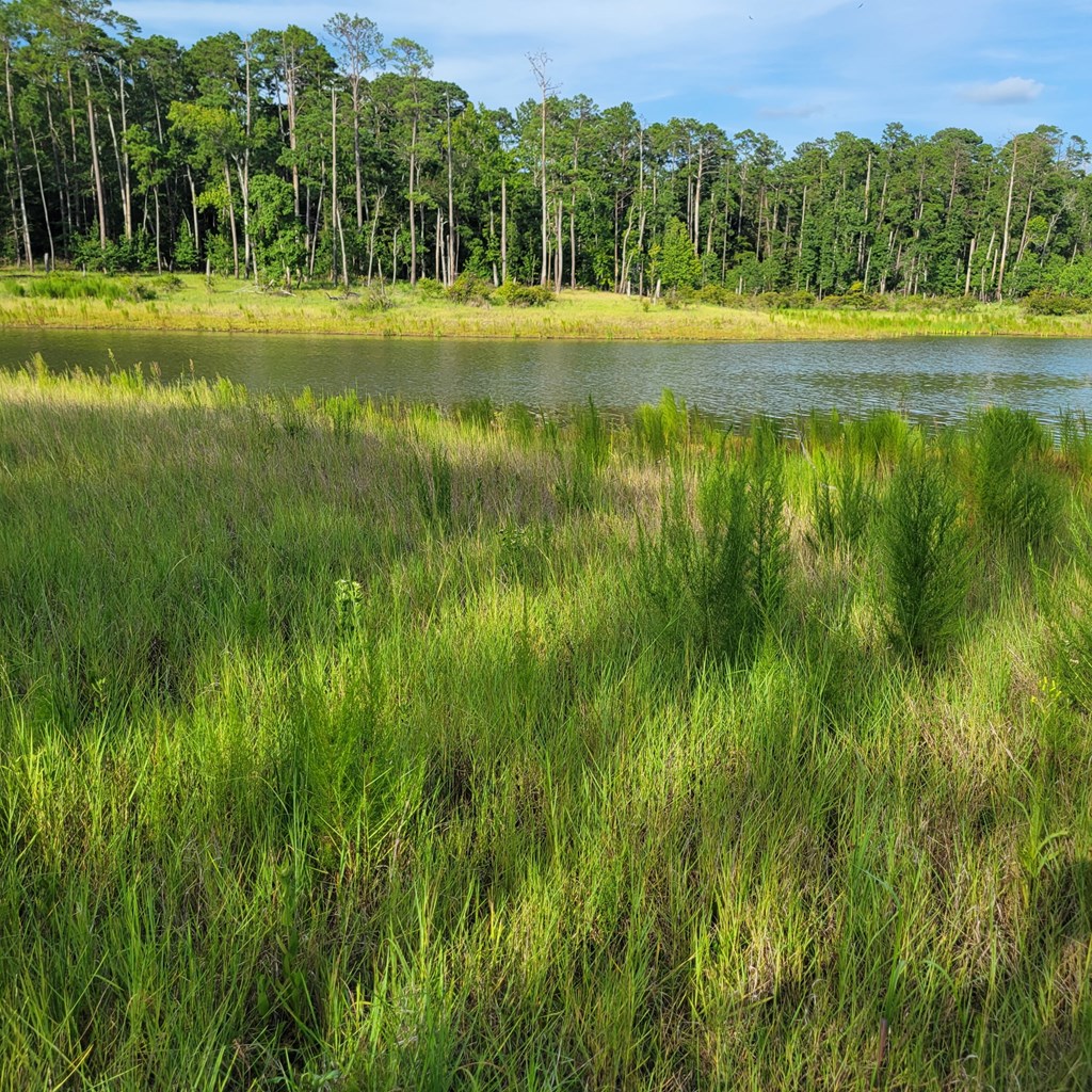 Pid#28125 Lot79 Pr 8558 Property Photo 17