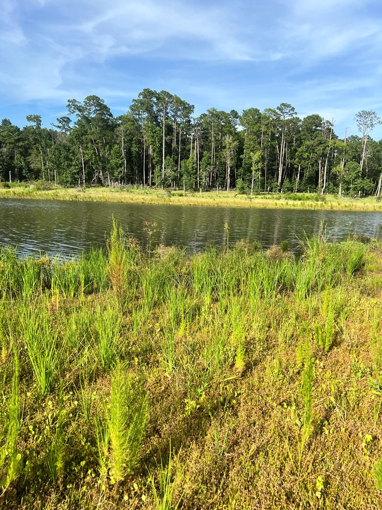 Pid#28125 Lot79 Pr 8558 Property Photo 18