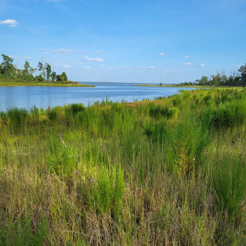 Pid#28125 Lot79 Pr 8558 Property Photo 19
