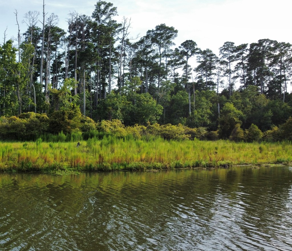 Pid#28125 Lot79 Pr 8558 Property Photo 20
