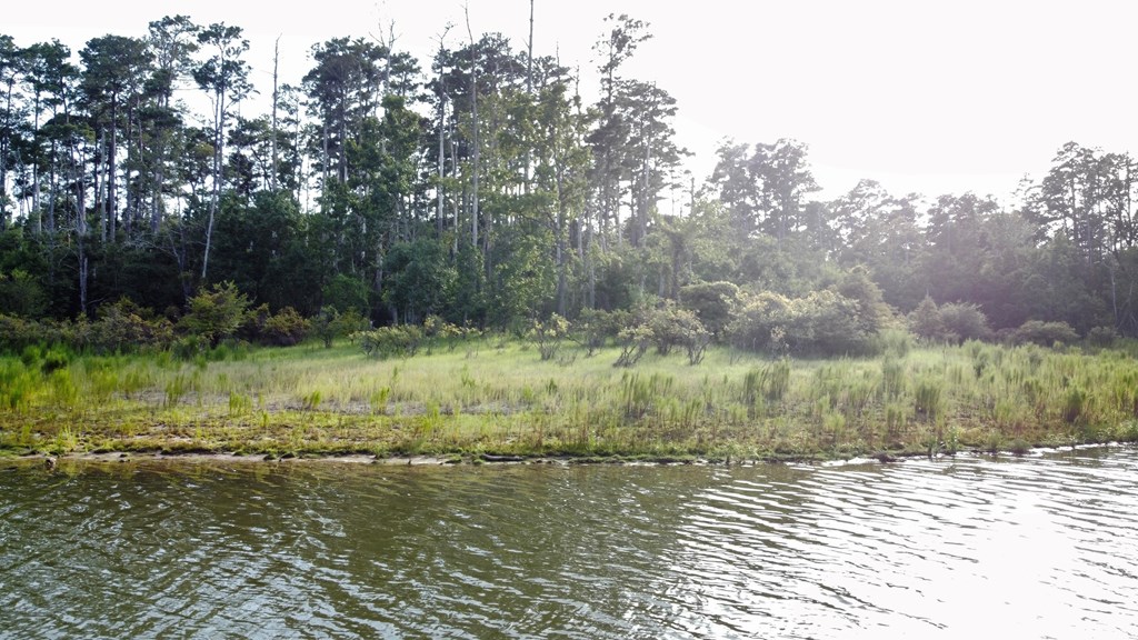 Pid#28125 Lot79 Pr 8558 Property Photo 21