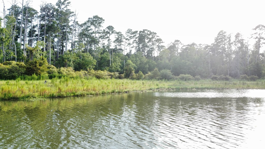 Pid#28125 Lot79 Pr 8558 Property Photo 22