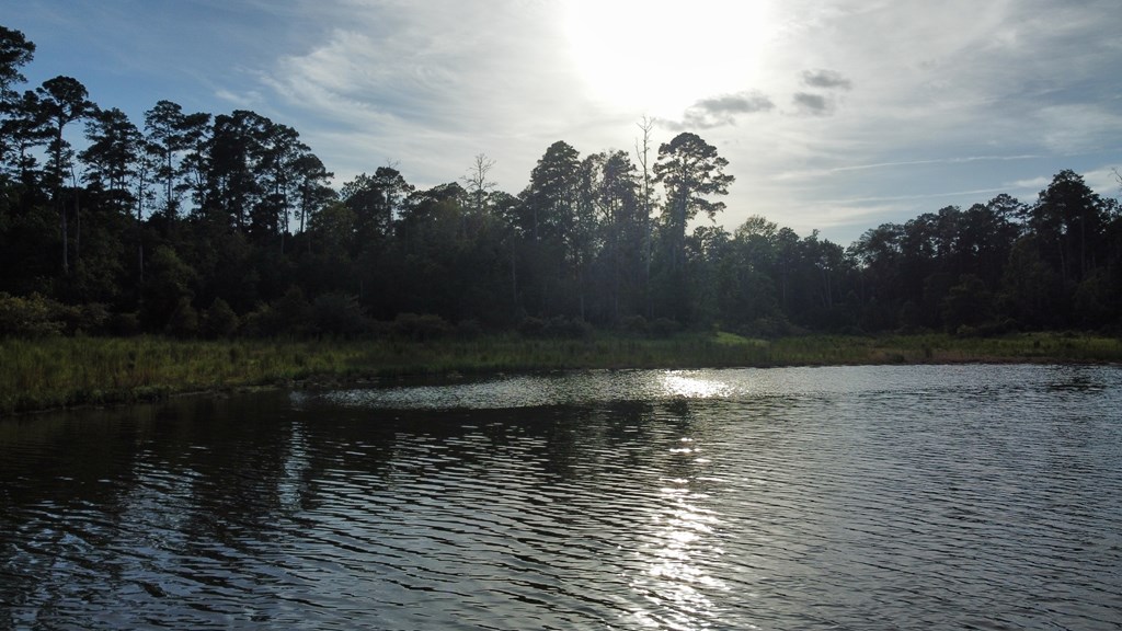 Pid#28125 Lot79 Pr 8558 Property Photo 23