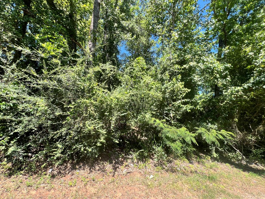 0004 Allentown Loop Property Photo 1